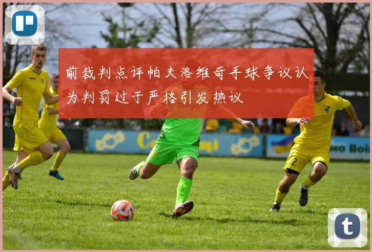 前裁判点评帕夫洛维奇手球争议认为判罚过于严格引发热议